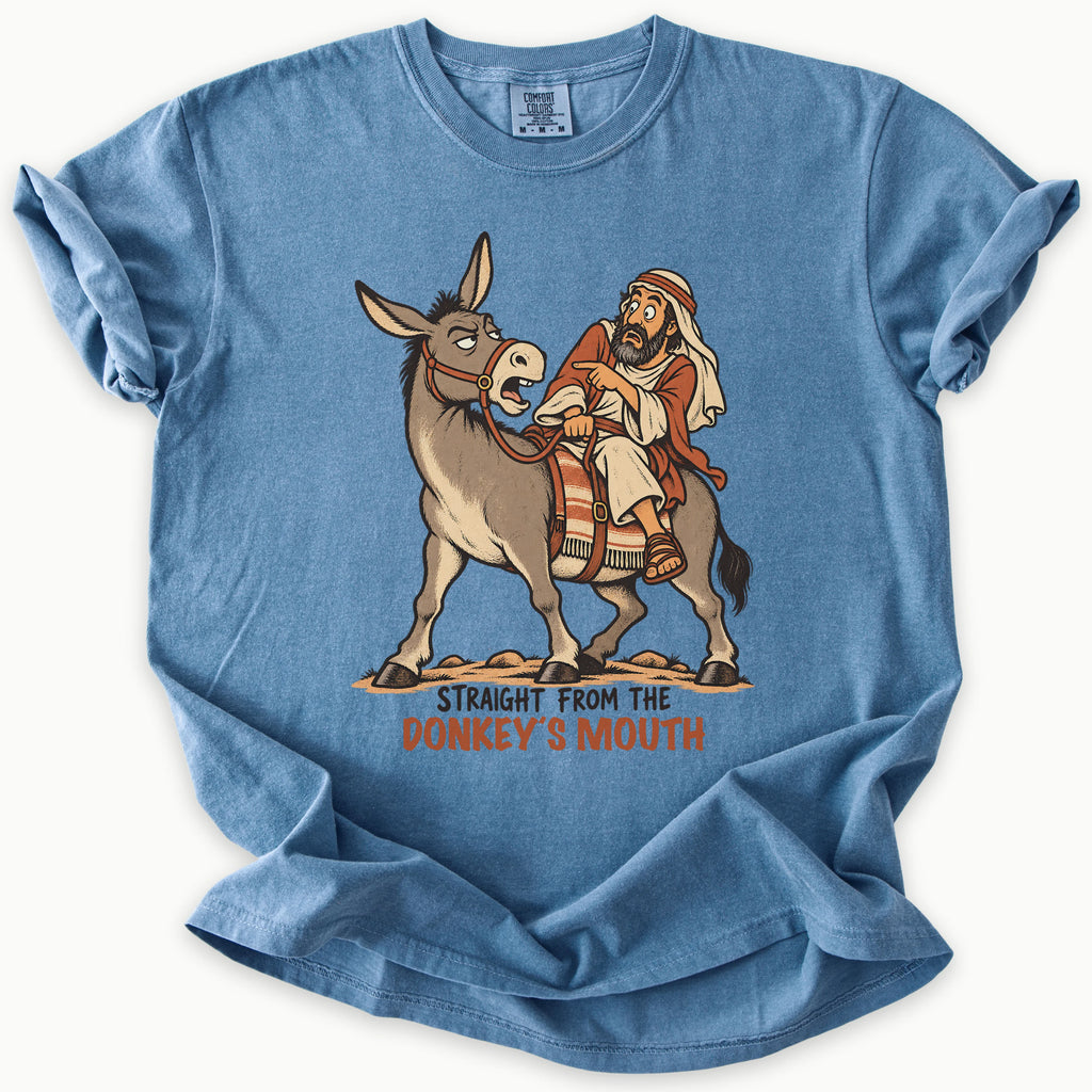 Balaams Donkey T-Shirt