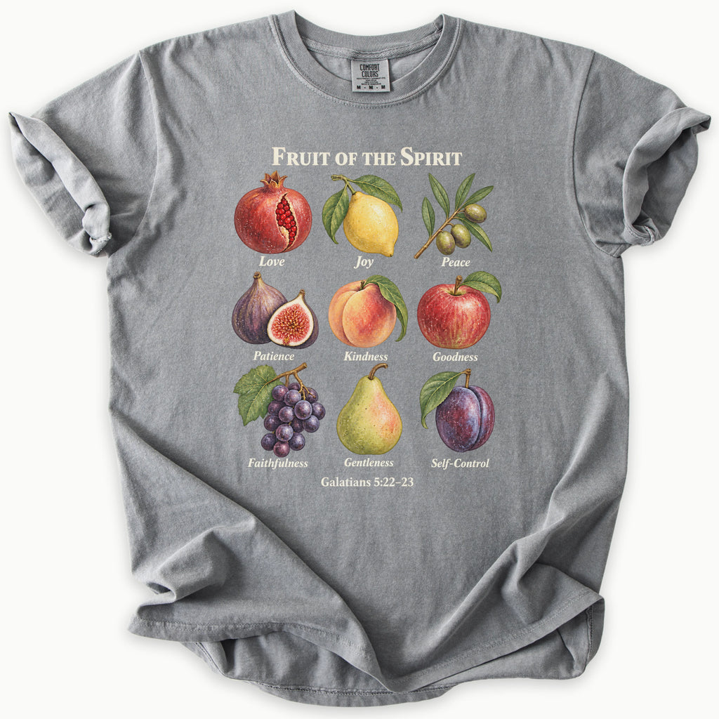 Galatians 5:22–23 T-Shirt