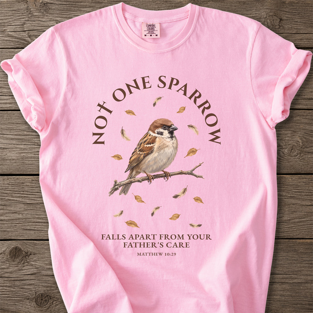 Not One Sparrow Faith T-Shirt