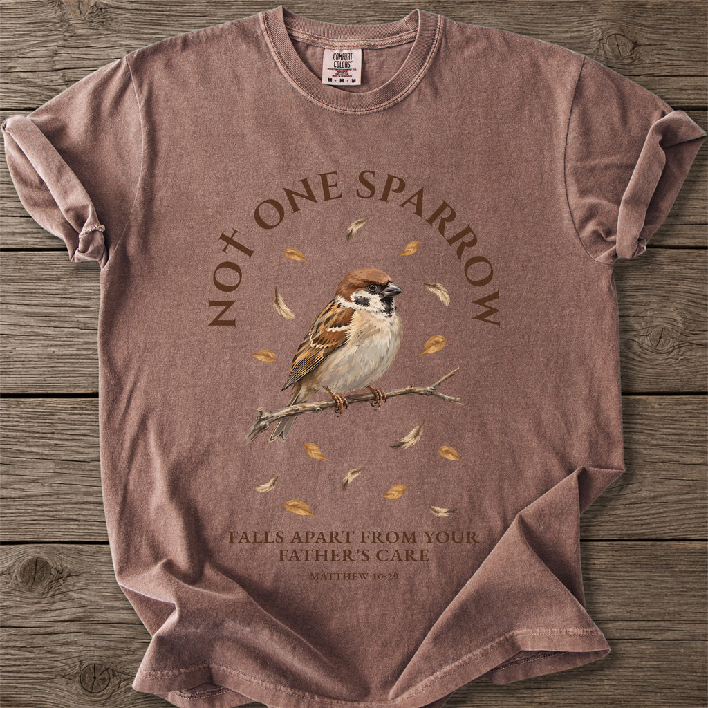 Not One Sparrow Faith T-Shirt