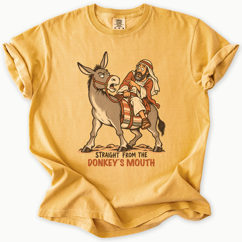 Balaams Donkey T-Shirt