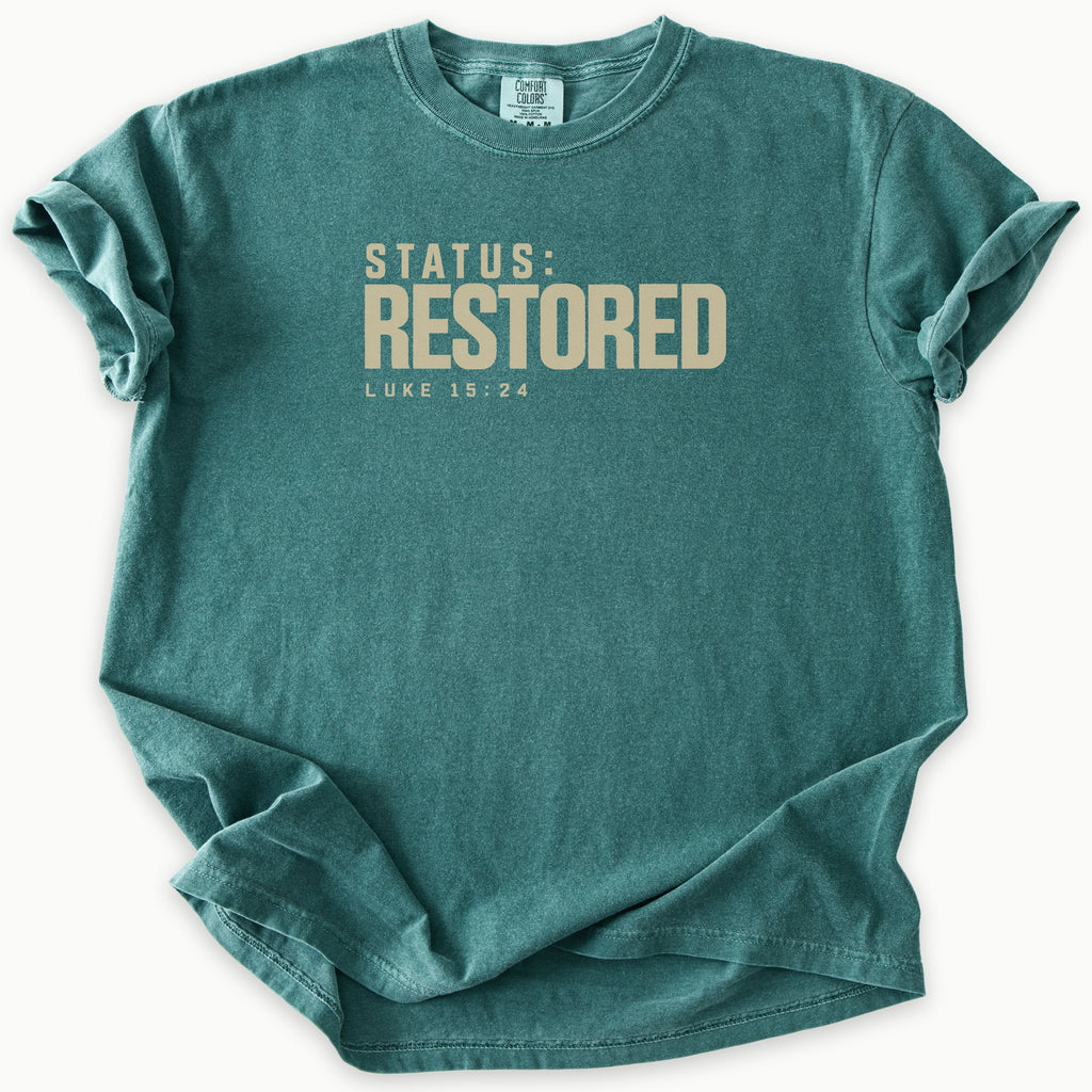 Status T-Shirt