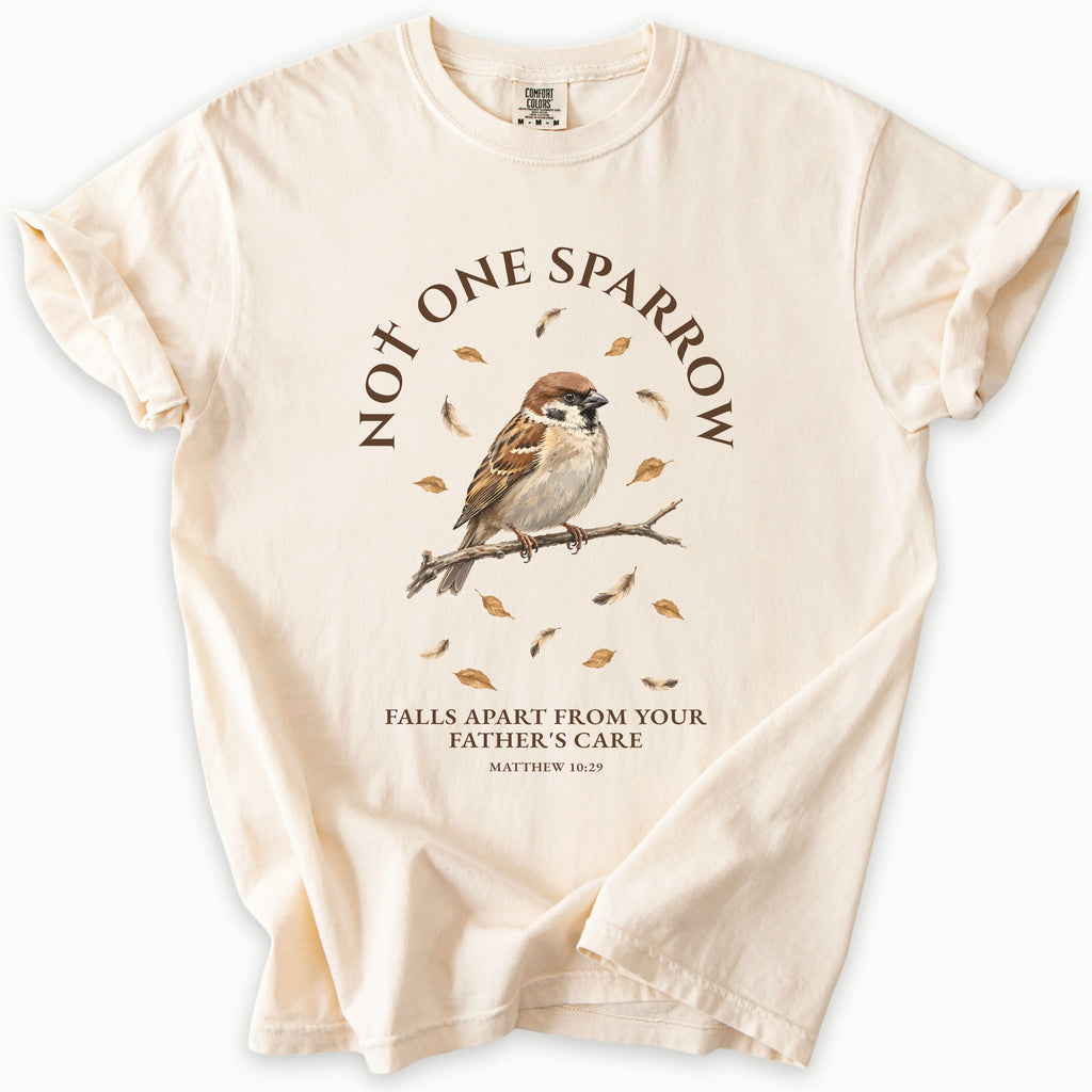 Matthew 10:29 T-Shirt