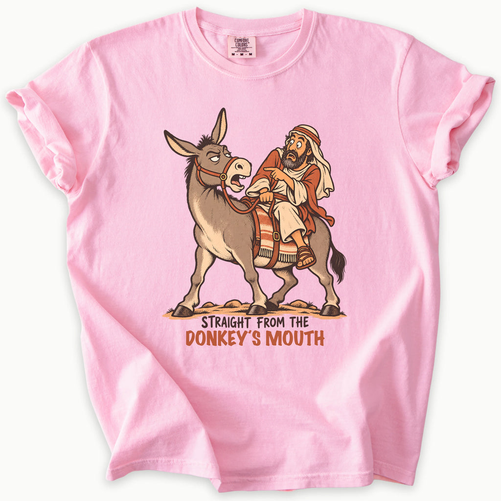 Balaams Donkey T-Shirt