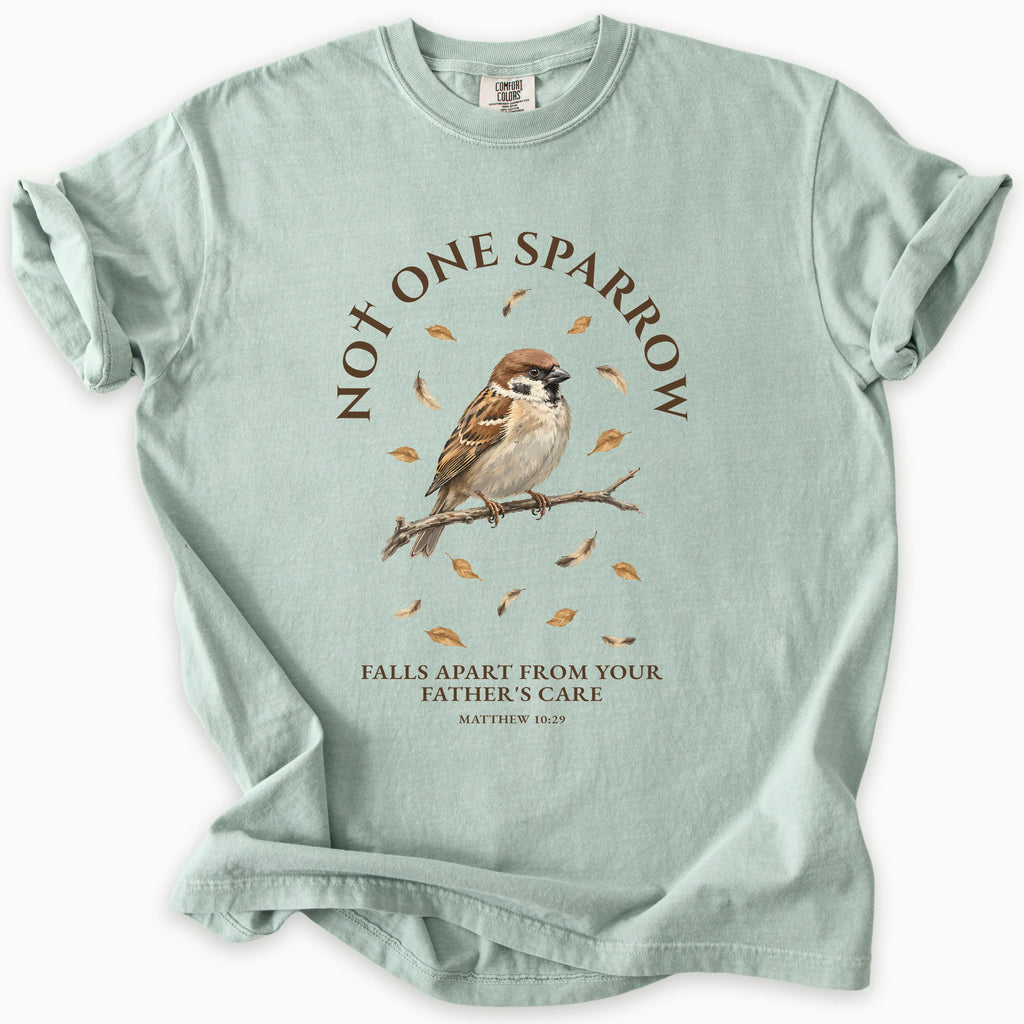 Matthew 10:29 T-Shirt