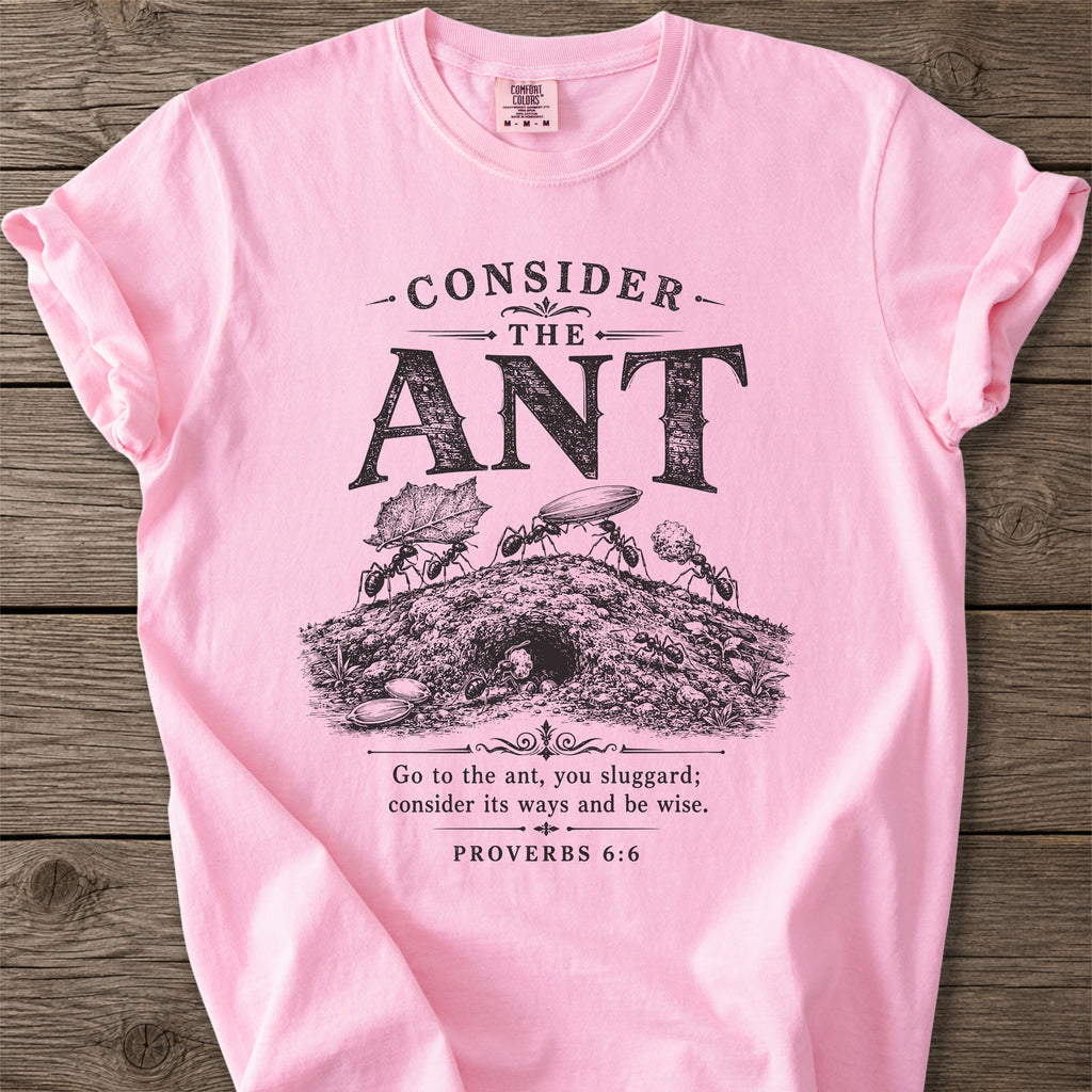 Proverbs 6:6 T-Shirt
