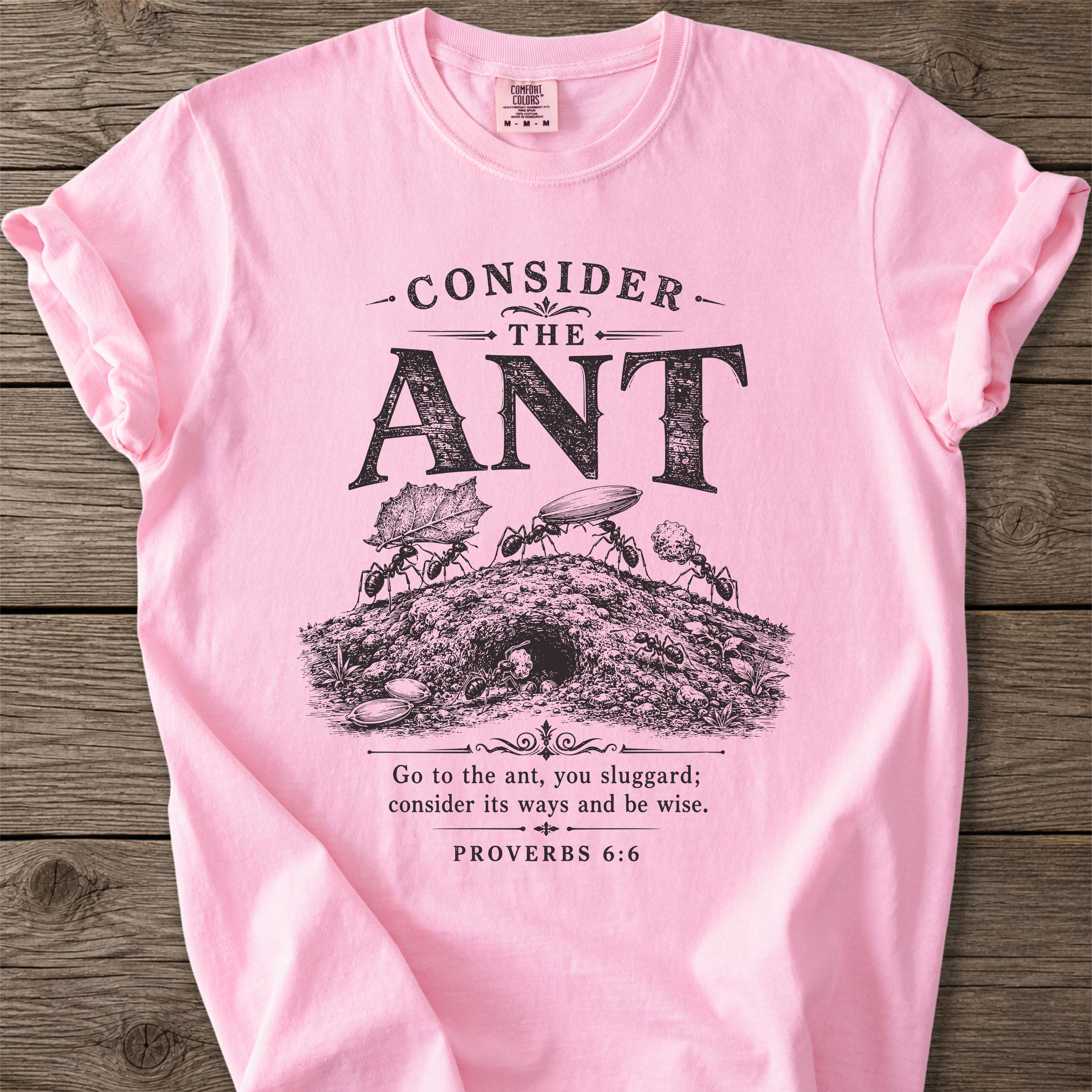 Proverbs 6:6 T-Shirt
