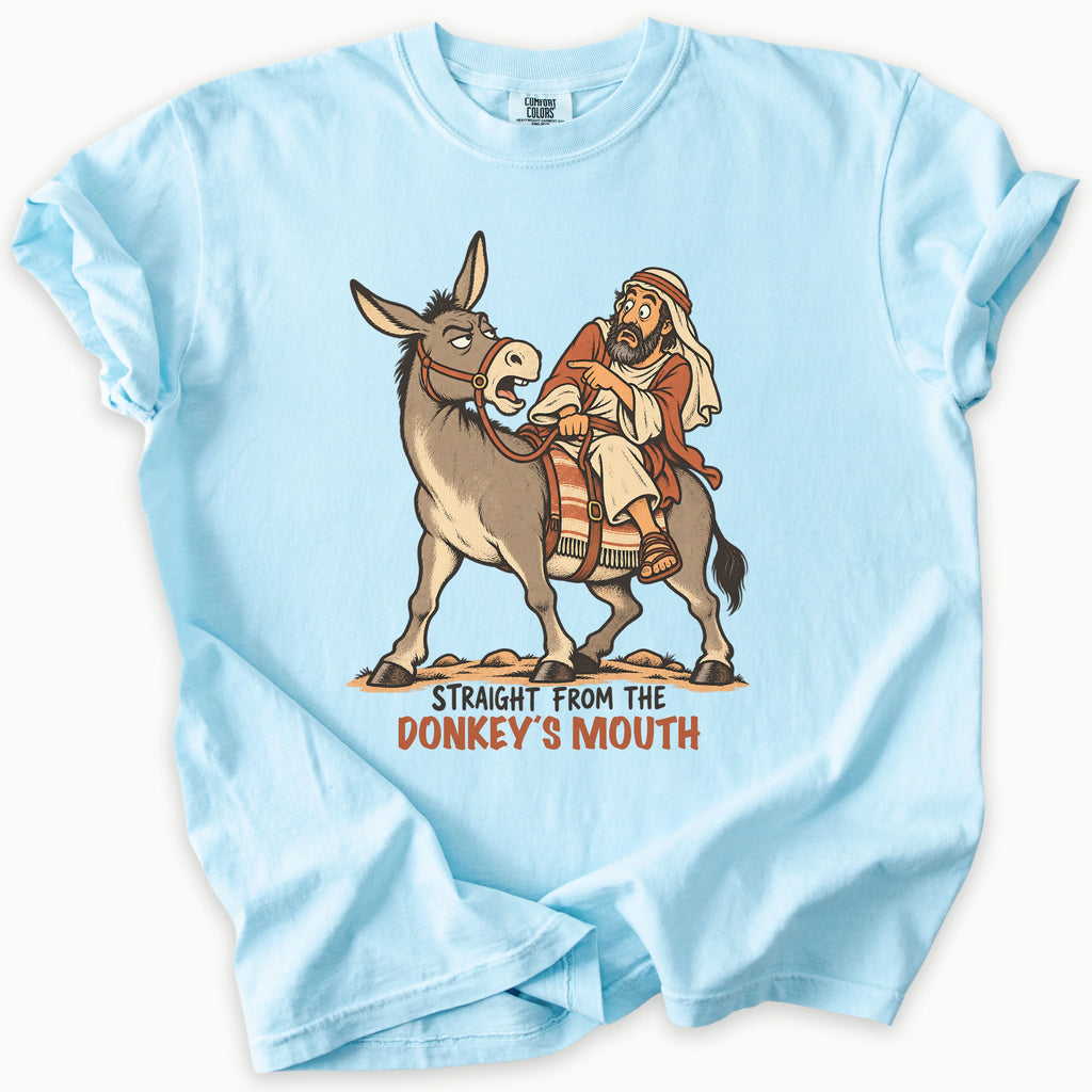 Balaams Donkey T-Shirt