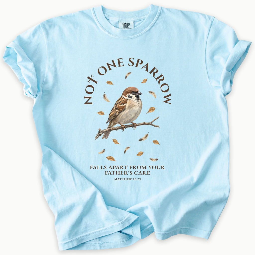 Matthew 10:29 T-Shirt
