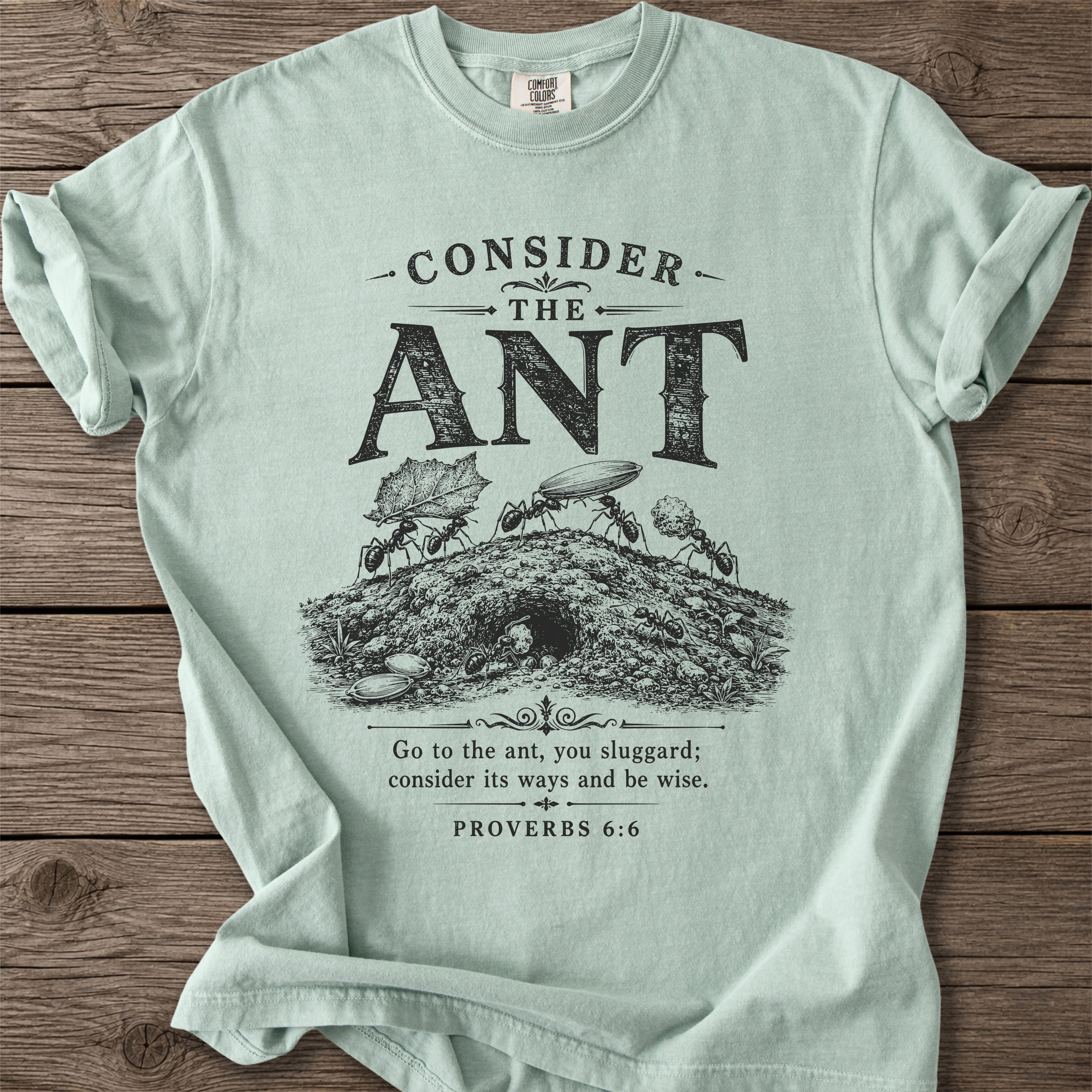 Proverbs 6:6 T-Shirt