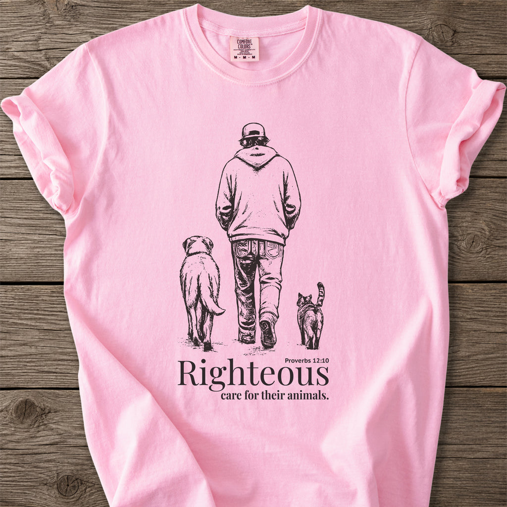 Righteous Walk T-Shirt