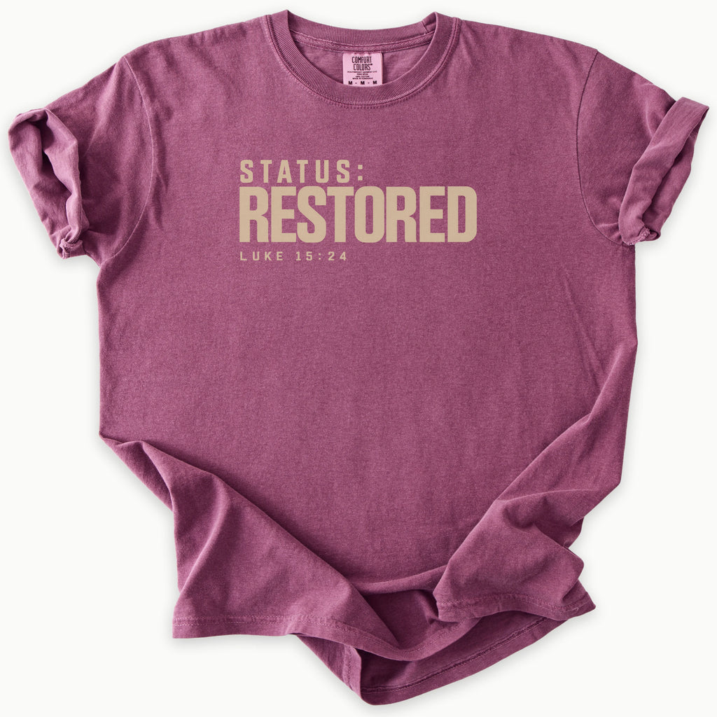 Status T-Shirt