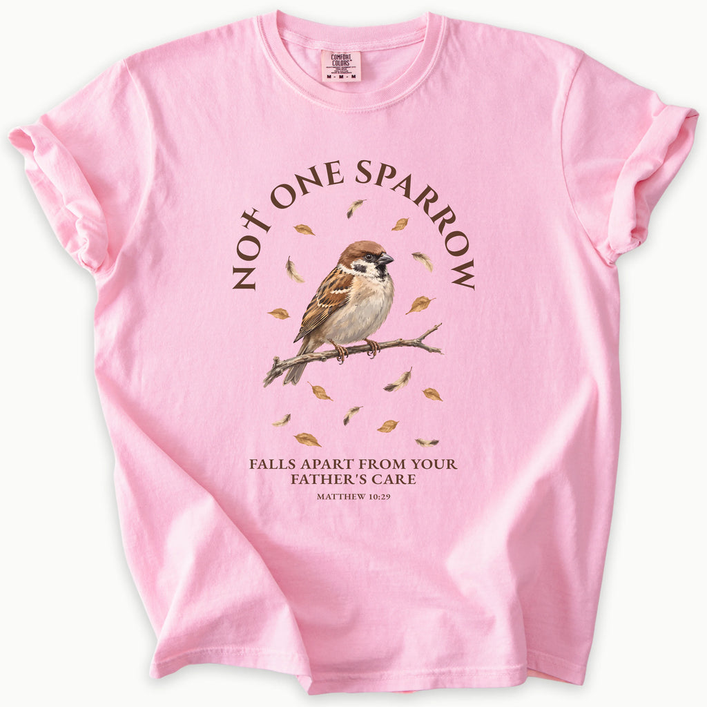 Matthew 10:29 T-Shirt
