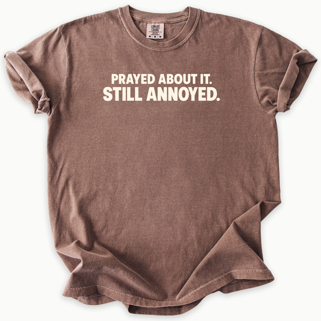 Prayed About It T-Shirt