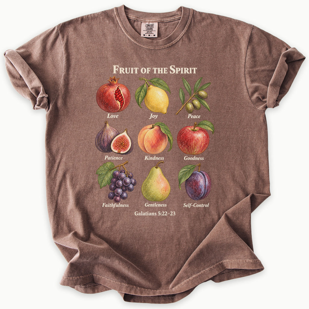 Galatians 5:22–23 T-Shirt
