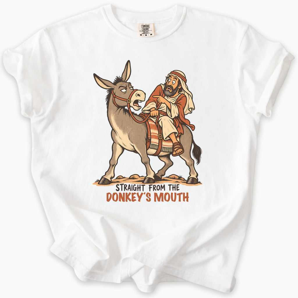 Balaams Donkey T-Shirt