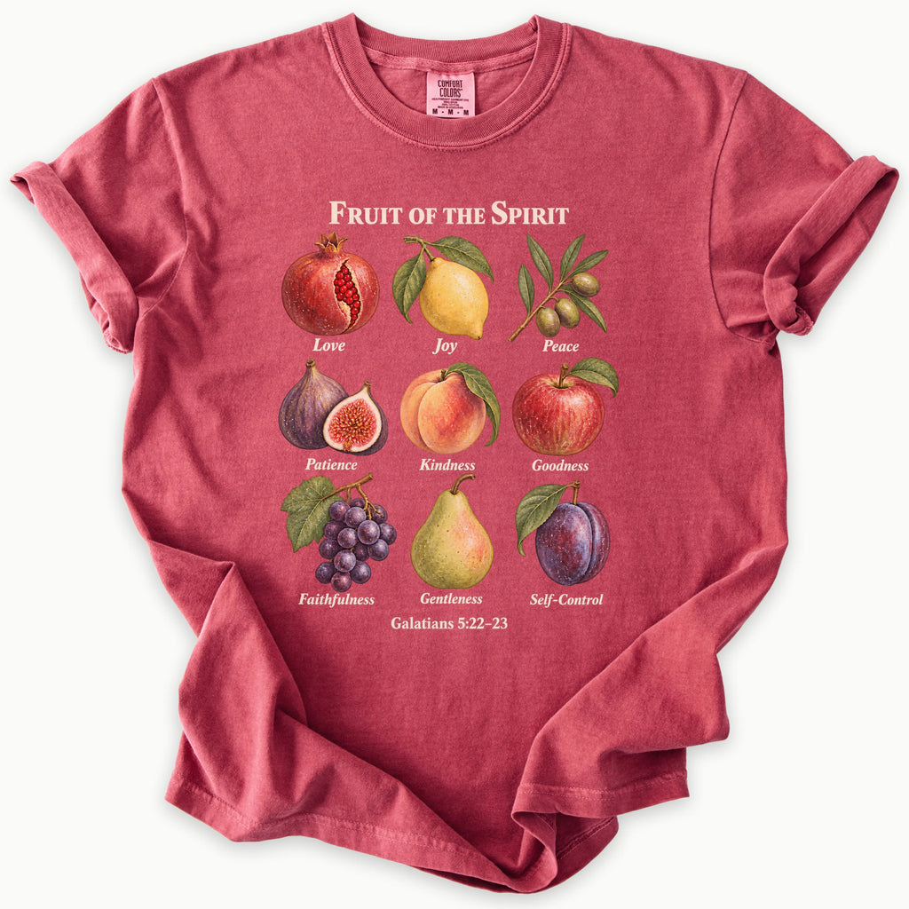 Galatians 5:22–23 T-Shirt