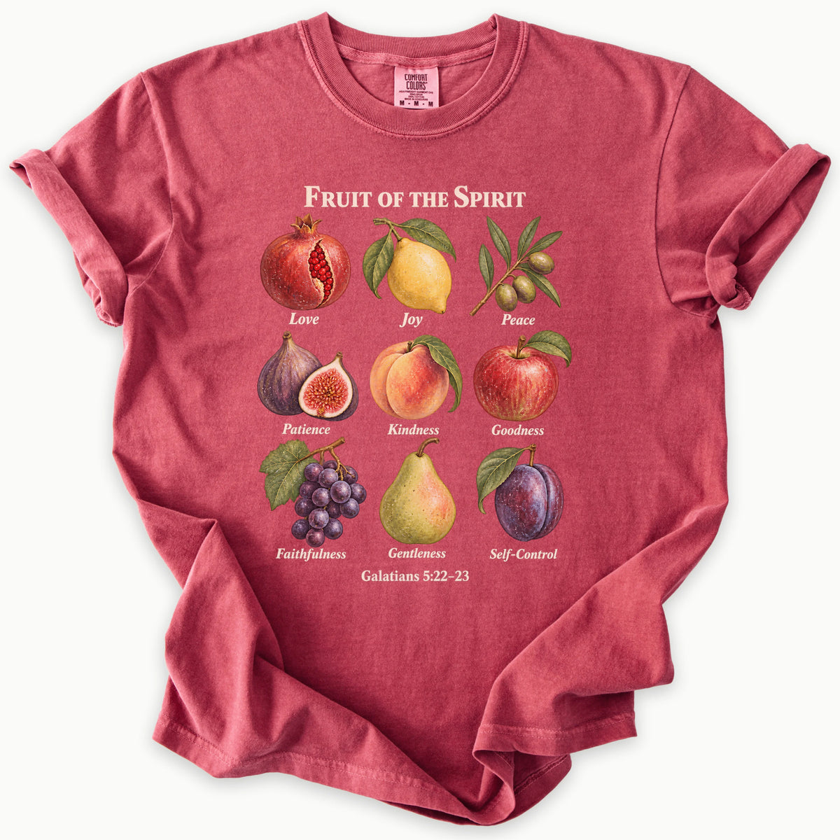 Galatians 5:22–23 T-Shirt
