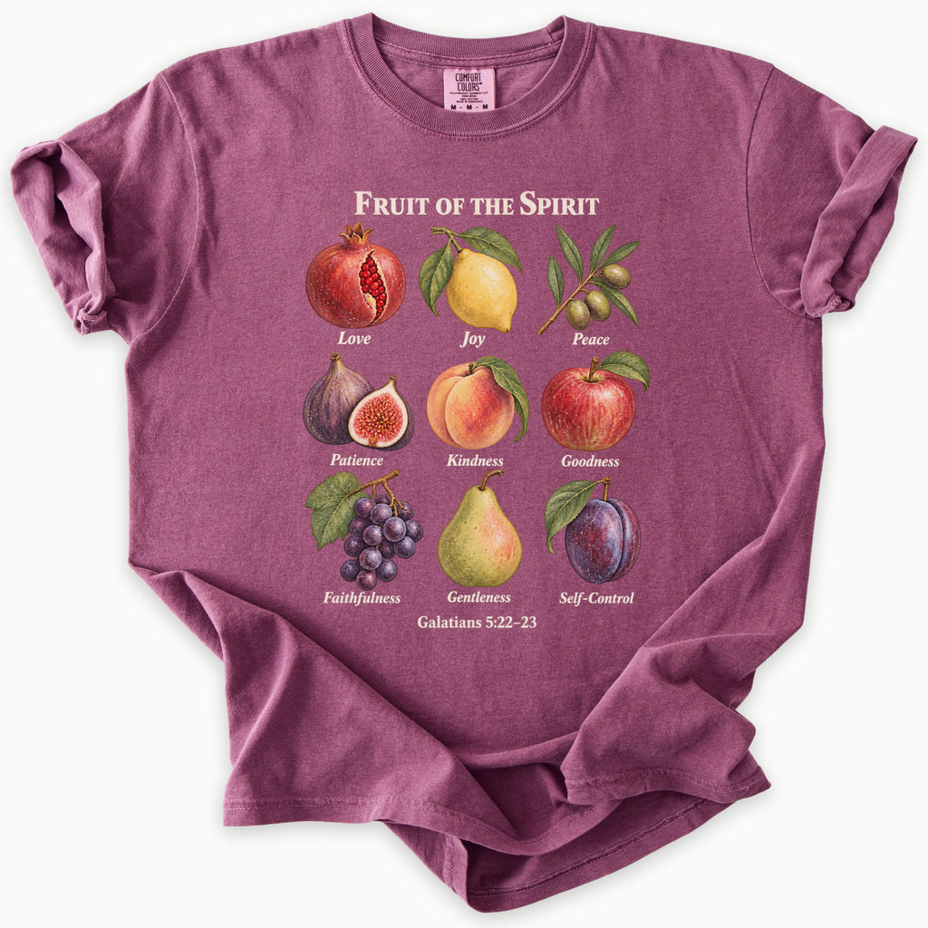 Galatians 5:22–23 T-Shirt