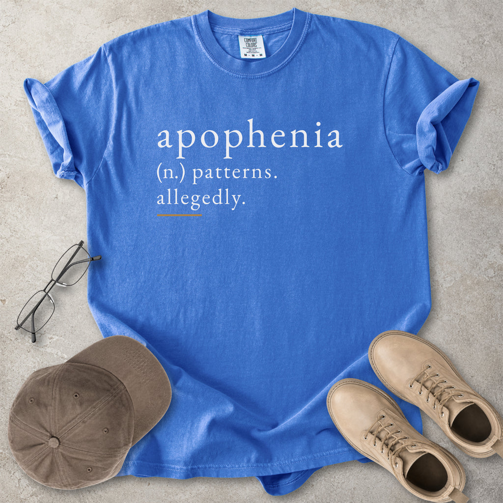 Flo blue Comfort Colors graphic T-shirt with apophenia definition text reading patterns allegedly, styled with notebook, pen, glasses and tan boots