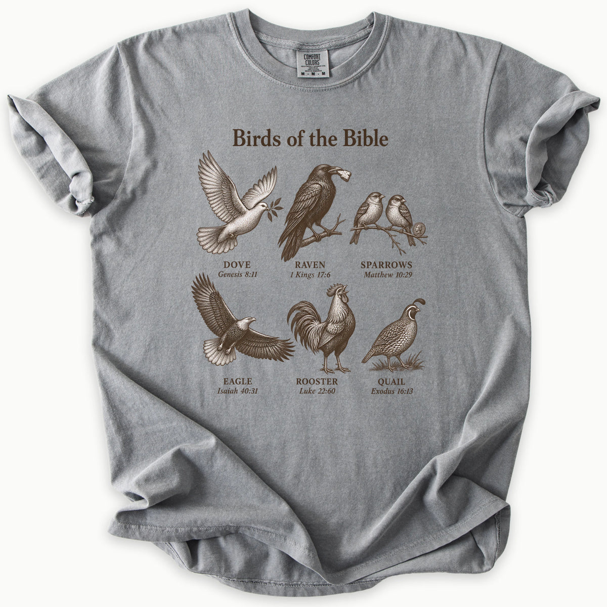 Birds Of The Bible T-Shirt in Grey (medium grey) — birds of the Bible, bird lover scripture tee, Comfort Colors 1717 unisex christian faith tee