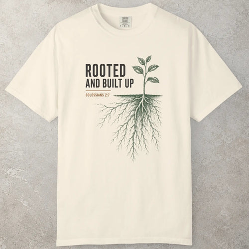 Built Up Faith T-Shirt in White — Colossians 2:7, Rooted And Built Up, Comfort Colors 1717 unisex christian faith tee
