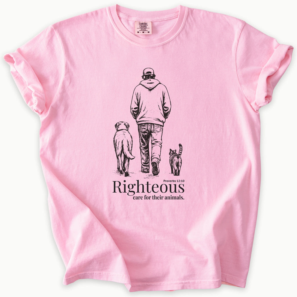 Proverbs 12:10 T-Shirt in Blossom (soft pink) — animal lover, pet rescue, Comfort Colors 1717 unisex christian faith tee
