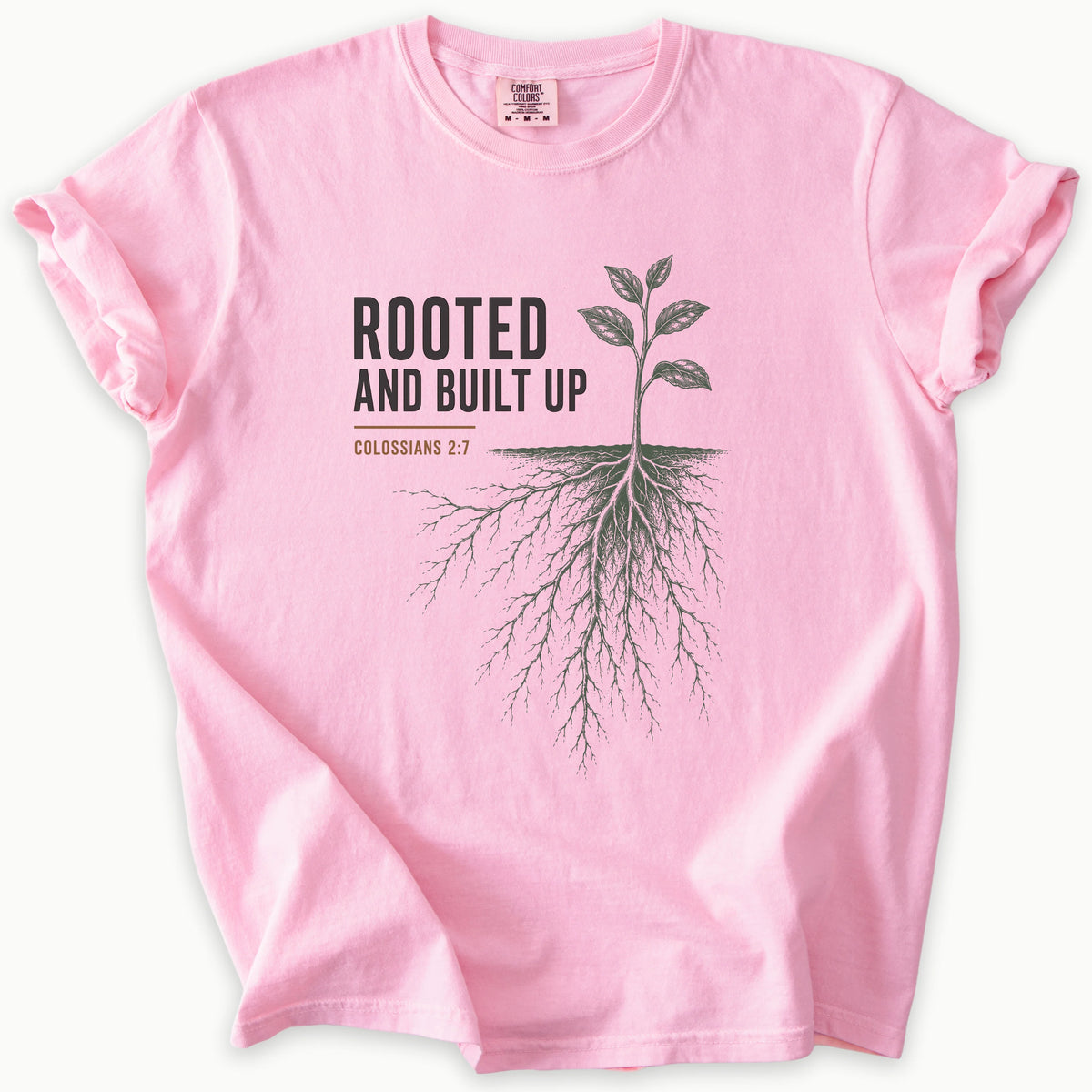 Rooted And Built Up T-Shirt in Blossom (soft pink) — Colossians 2:7, Rooted in Christ, Comfort Colors 1717 unisex christian faith tee